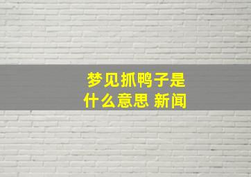 梦见抓鸭子是什么意思 新闻